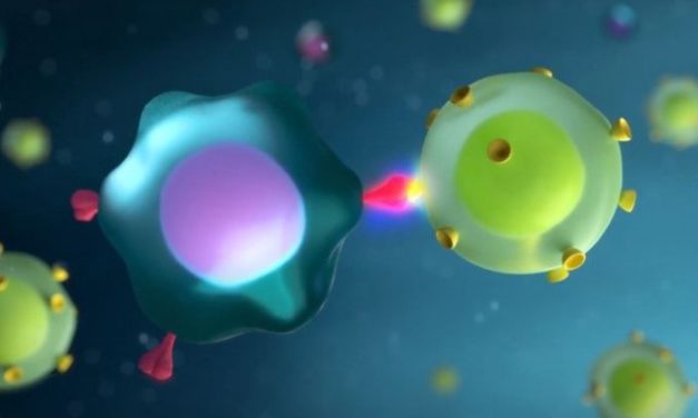 So schützt uns der Impfstoff gegen das Coronavirus - Animation von MTA