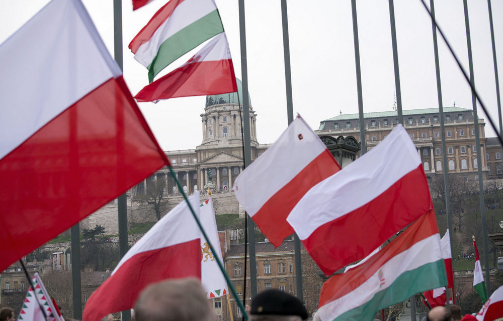 Viva l&#39;amicizia polacco-ungherese!