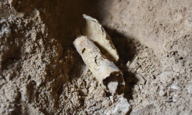 Bibelrollen wurden in einer Höhle in der Judäischen Wüste gefunden