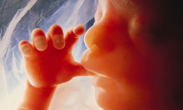 Porażenie mózgowe: według nich uszkodzenie zdrowia reprodukcyjnego to płód
