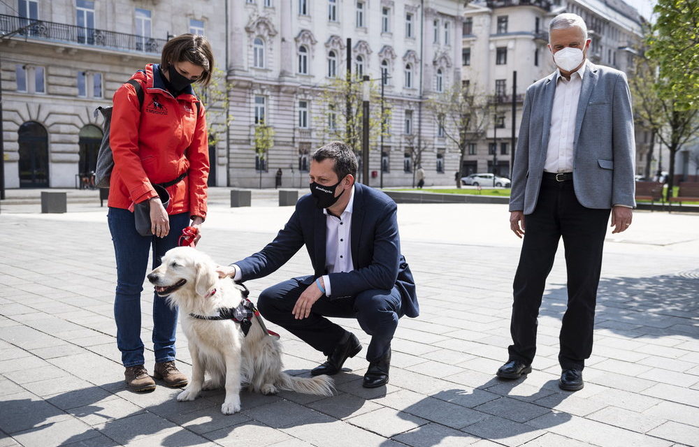 Pályázat segítő- és terápiás kutyákat kiképző civil szervezeteknek