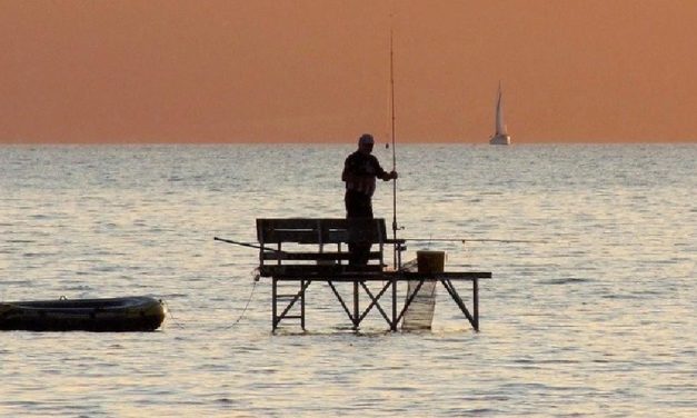 Das reicht für den Bus, die heimischen Balaton-Fische kommen zurück