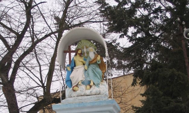 Sonntag der Heiligen Dreifaltigkeit in Palocföld