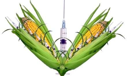 Baloldali program: GMO és termelőszövetkezet