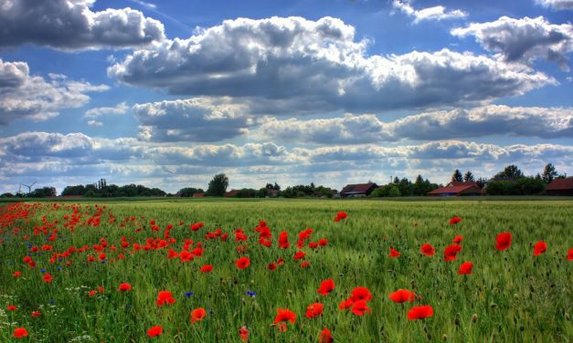 Hungarian Nature Day is seven years old