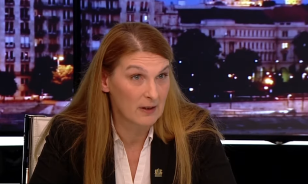 Krisztina Baranyi nazistowała przedstawiciela Jobbiku w pubowym stylu - Wideo