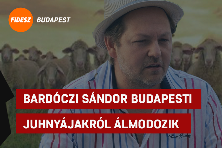 Wirst du im Regenbogen-Budapest Frieden schließen müssen?