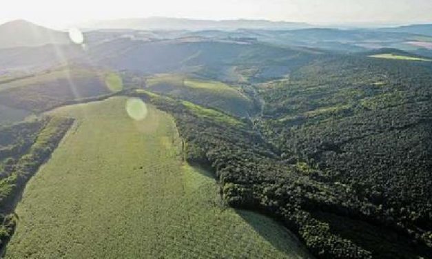 Ce n&#39;è un altro! Bruxelles ora lo renderebbe impossibile per i gestori forestali 