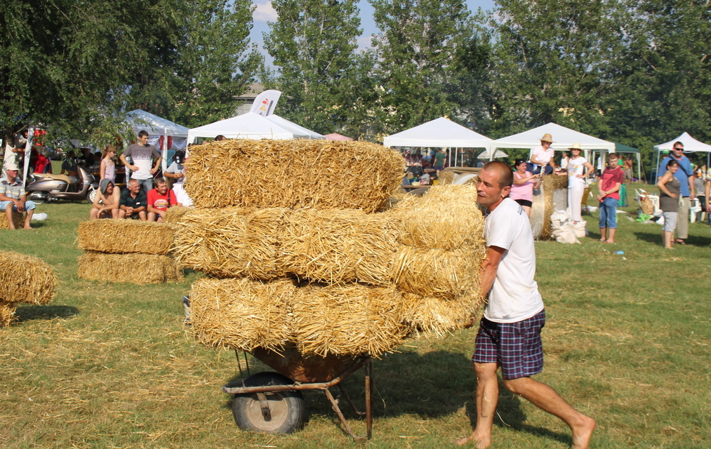10. Bauernolympiade in Topolya