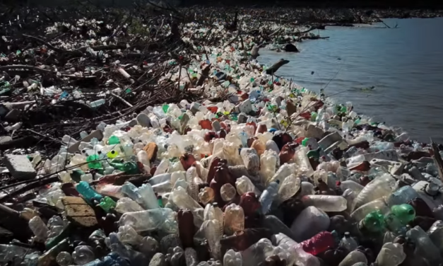 No more garbage on the Tisza!