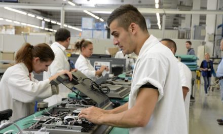 Ten thousand young people can get jobs through the job creation program
