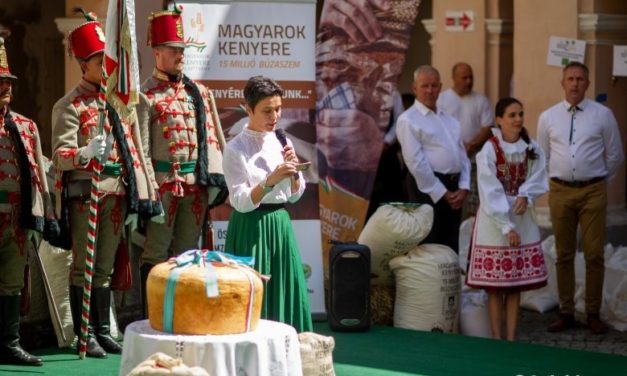 Im Hof ​​des Schlosses Kemény fand eine Weizendreschzeremonie statt