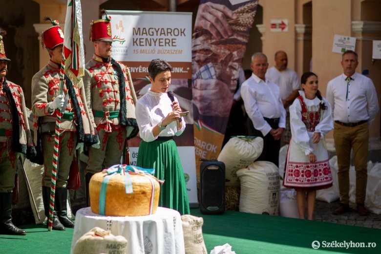 A wheat threshing ceremony was held in the courtyard of Kemény Castle