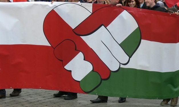 Poles: thank you comrades!