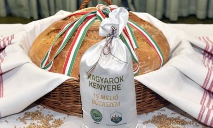 The bread of the Hungarians