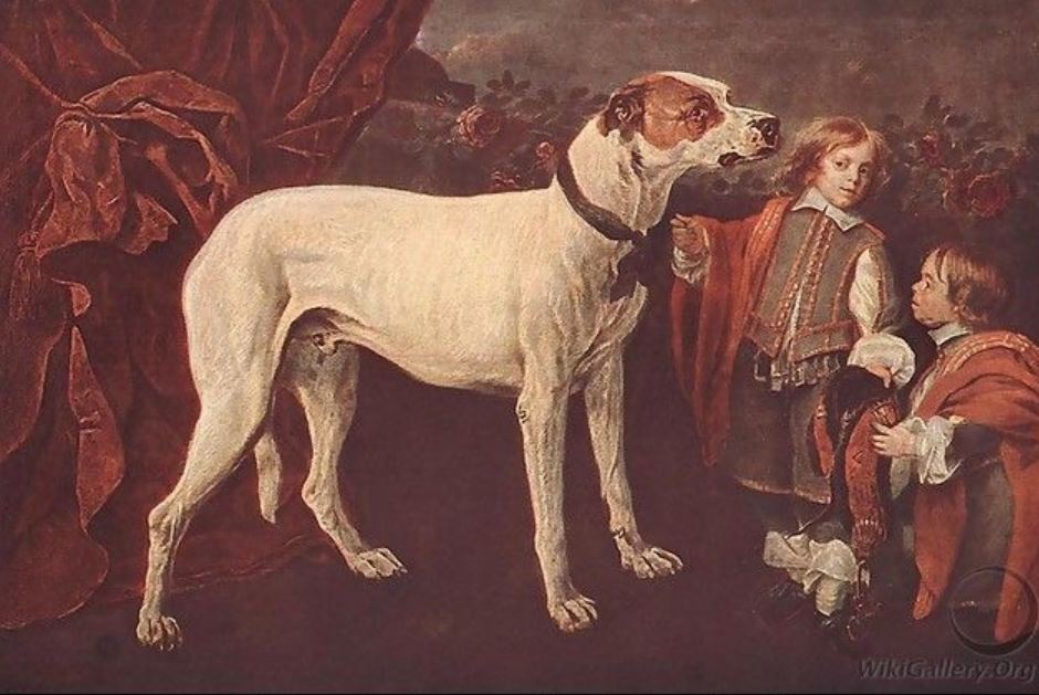 A nagy kutya, a kisnövésű és a fiú