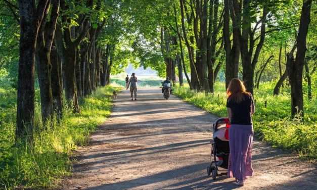 The first maternity cooperatives were established