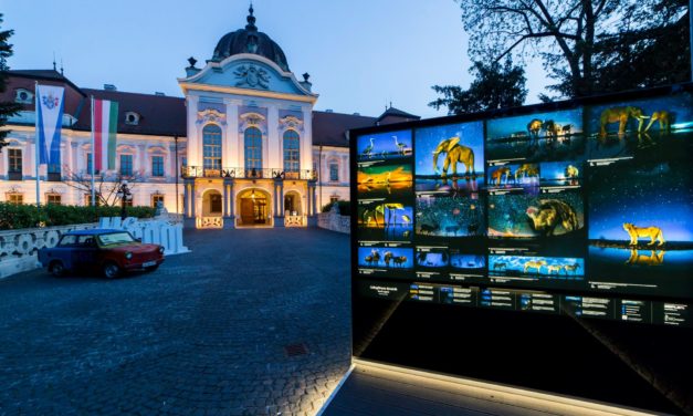 Proiezione di film, mostra, programmi per bambini al Festival Internazionale della Natura e dell&#39;Ambiente