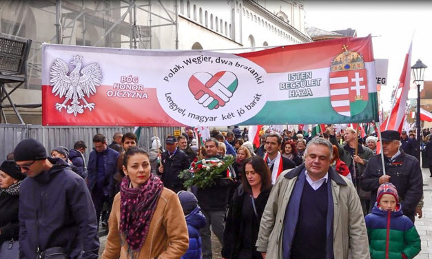 Common values, bonds of friendship - Polish-Hungarian Friendship Day on public media channels