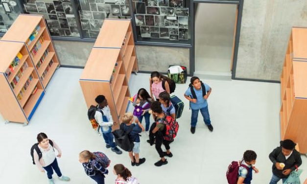 La biblioteca svedese non tiene lezioni di storia in svedese, ma solo in arabo