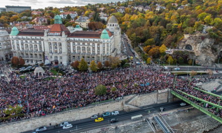 Nasz czytelnik napisał: Teraz powinien odbyć się marsz pokojowy do Zamku Królewskiego dla Katalin Novák i Judit Varga!