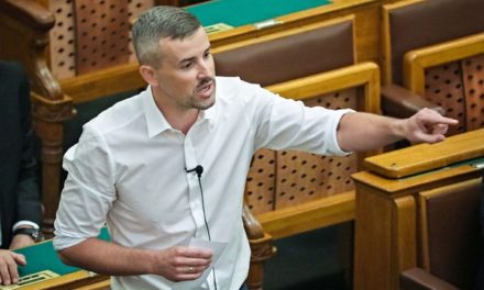 Jakab, il cassiere, è già stato criticato a Jobbik
