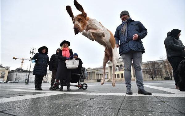 La FCI Europe Dog Show si terrà a Budapest alla fine di dicembre