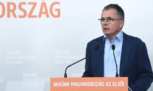 László Horváth: Die Linke hat schon einmal mit dem Vertrauen der Investoren gespielt
