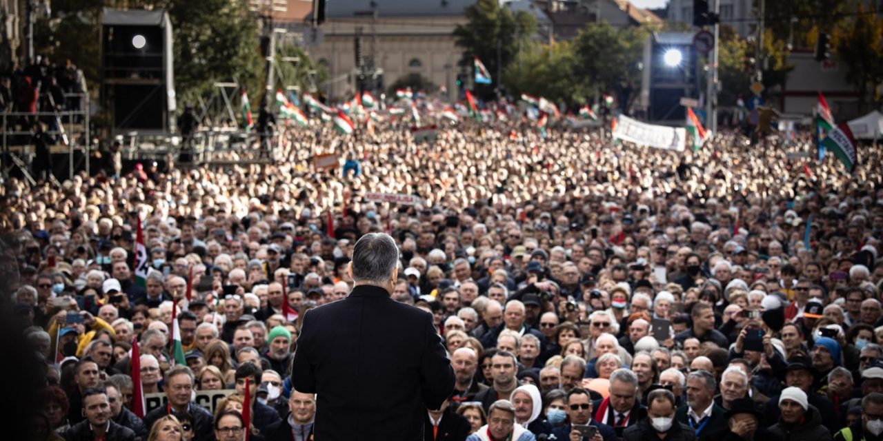 Zavecz: Fidesz è cresciuto in modo significativo