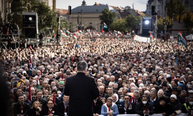 Zavecz: Fidesz znacznie się rozwinął