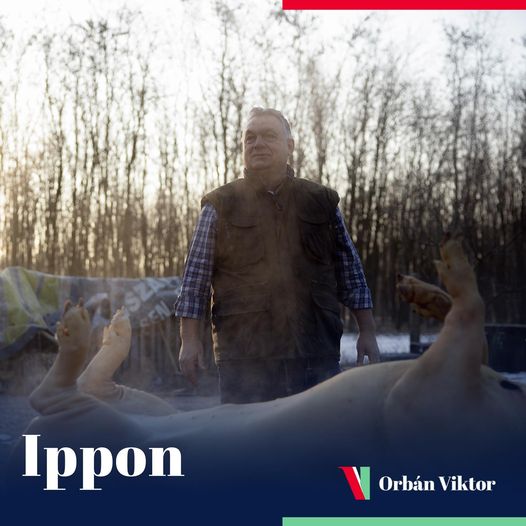 Orbán also won with Ippon on Facebook