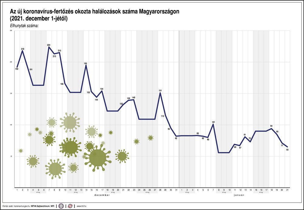 koronavírus covid 19 halálozás