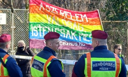 Provocatori LGBTQ alla manifestazione di simpatia