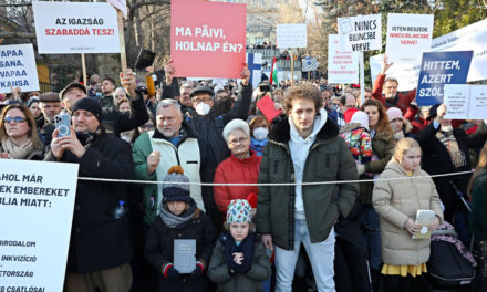 Non solo i conservatori hanno protestato ieri a Budapest insieme al finlandese Päivi