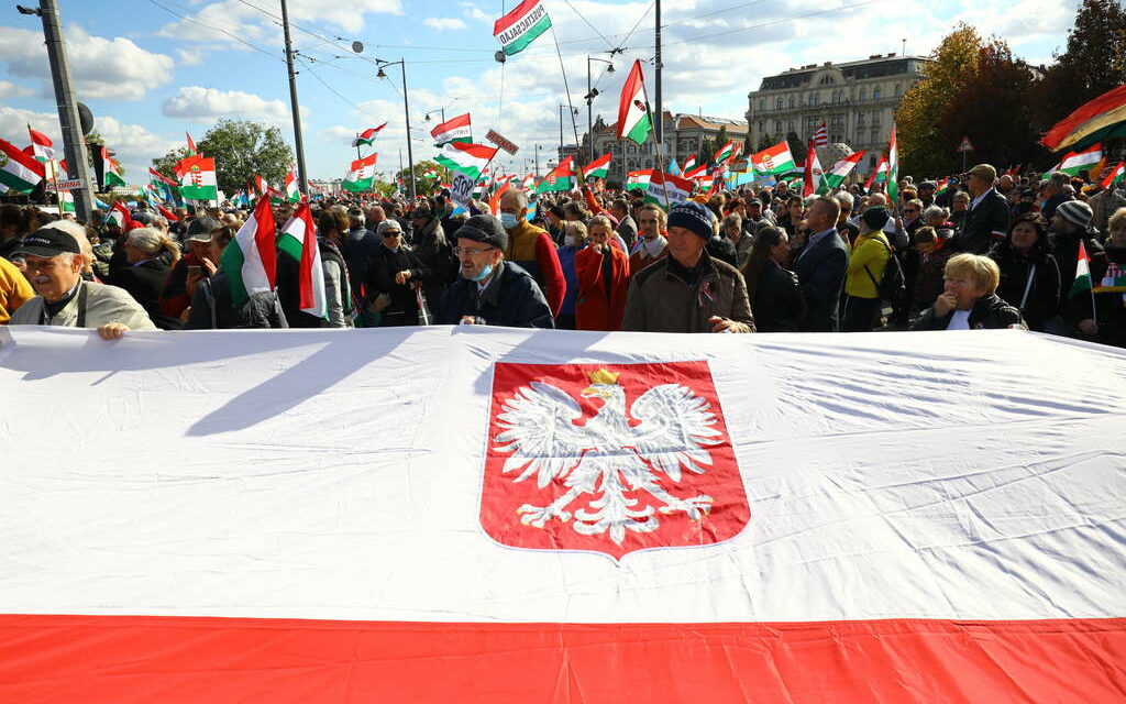 Marcia per la pace all&#39;ombra della guerra. Lettera del CÖF alla Polonia 