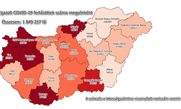 Jesteśmy w gałęzi zstępującej piątej fali epidemii