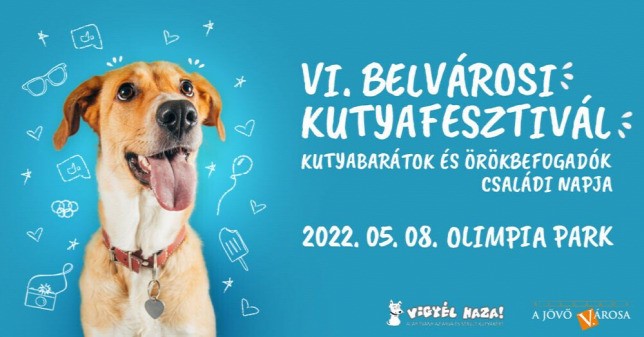 The VI will be held on Sunday. Downtown Dog Festival 