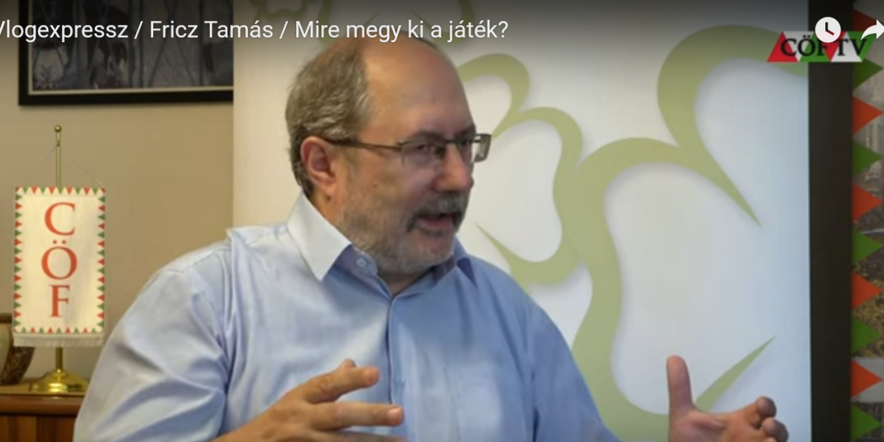 Tamás Fritz: What will the game be? – video 