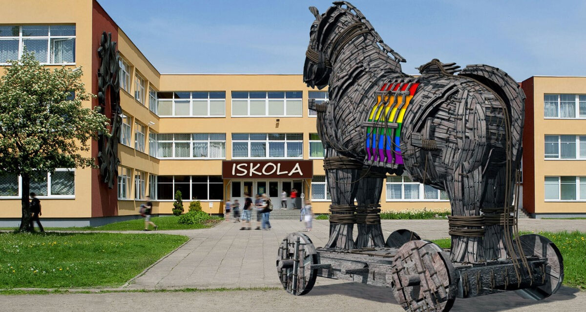 Gender lobby: they are also pushing the village horse into the university