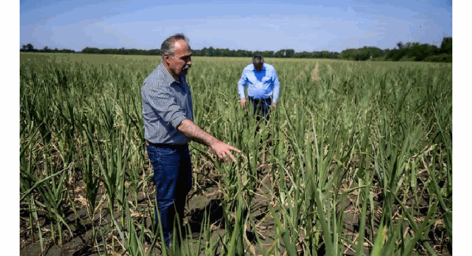 Nagy István: Brüsszel kettős mércén méri az ukrán gabonát