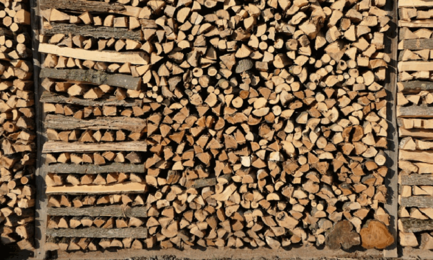 Hier ist die Hilfe für den Kauf von Brennholz