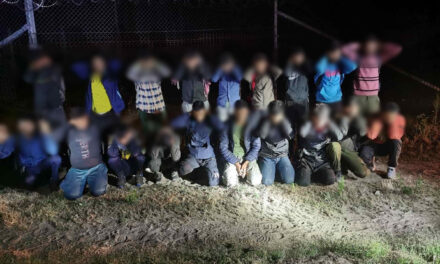 Jednej nocy 250 nielegalnych łamiących granice