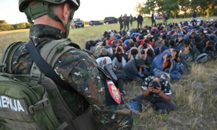 Migranten greifen in der südlichen Region an, die serbische Polizei hat sich verhärtet