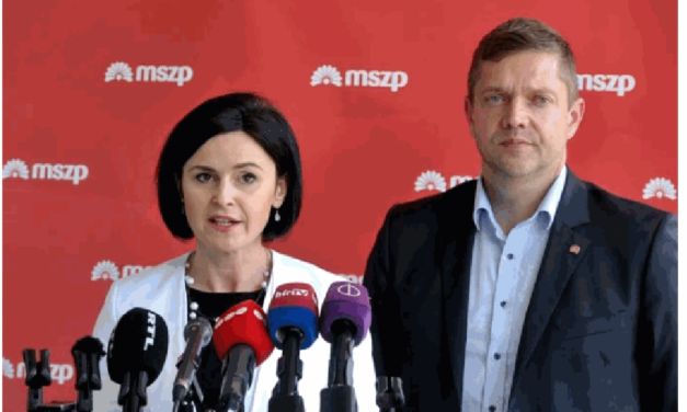 The last one turns off the light - no one wants to be the new co-chairman of the MSZP