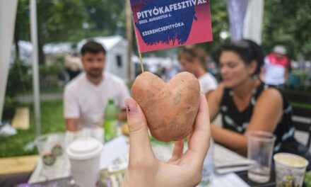 Pityokás festival