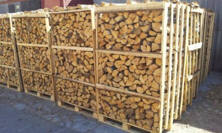 Government: firewood cannot be taken out of the country!