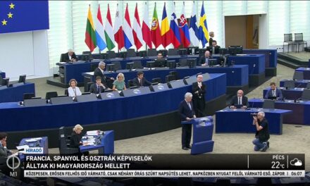 EP-képviselők álltak ki hazánk mellett