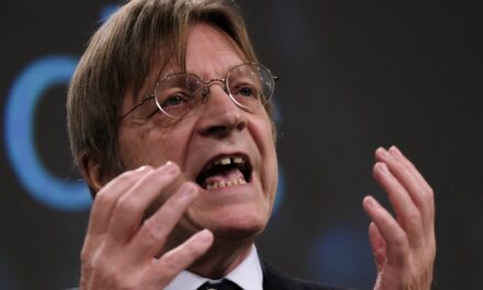 Guy Verhofstadt: természetesen szenvedni fogunk