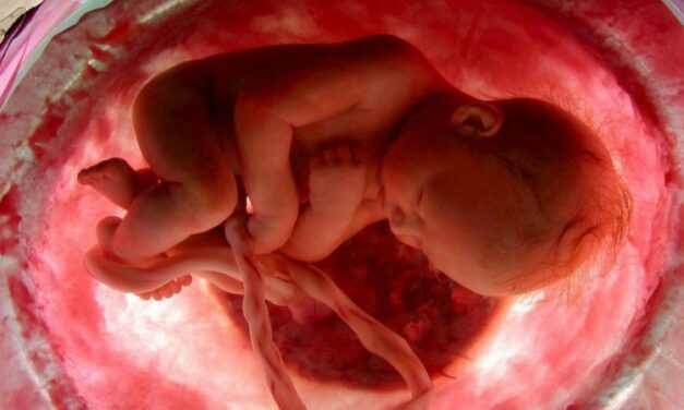 Az új rendelet szívhang meghallgatásához köti az abortusz elvégzését