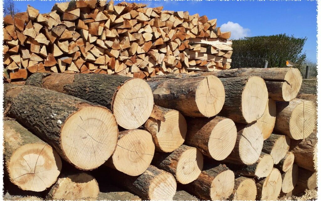 Das Interesse am Brennholzprogramm der Regierung ist groß.